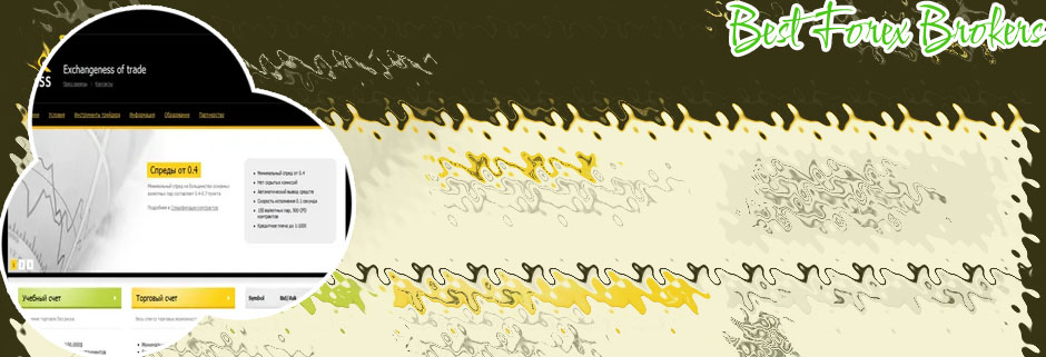 Best forex broker exness